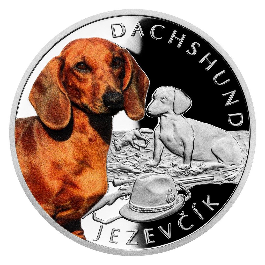 Bendog монета. Монеты с таксой. Монета с изображением таксы. Коллекционная монета такса. Монета порода собак.
